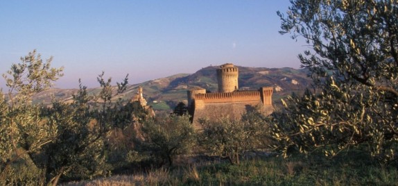Brisighella e . . . il suo oro verde: l’olio
