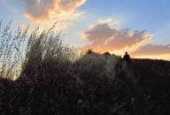 Il Parco della Vena del Gesso