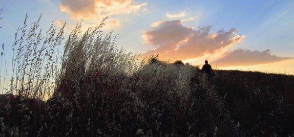 Il Parco della Vena del Gesso
