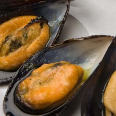 Cozze di Cesenatico gratinate