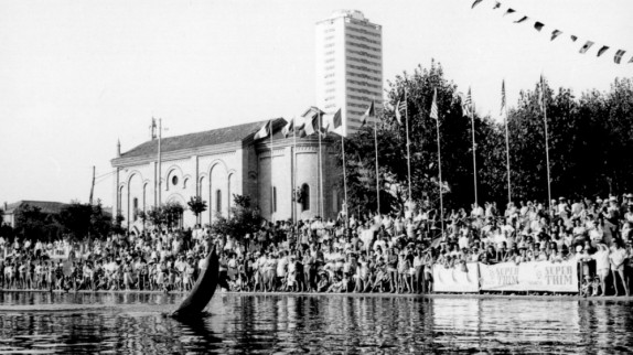 Delfini a Cesenatico - archivio Nanni