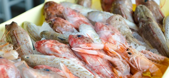 Progetto Romagna: Pesce da brodetto