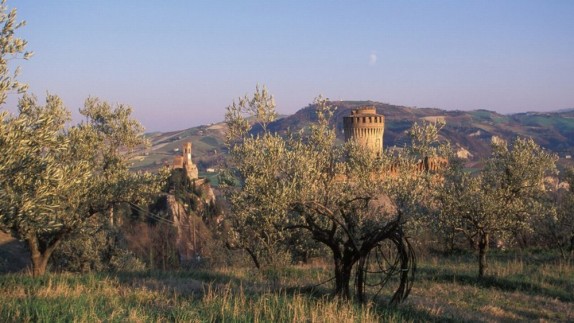 Brisighella e . . . il suo oro verde: l'olio - Panorama