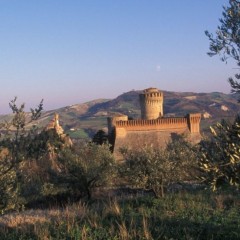 Brisighella e . . . il suo oro verde: l'olio