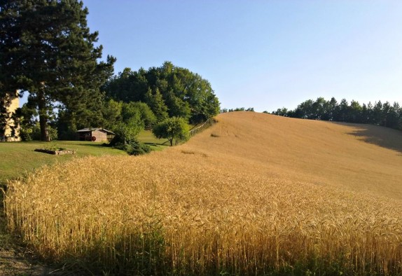 I nostri itinerari in Romagna - Santa Sofia - i dintorni