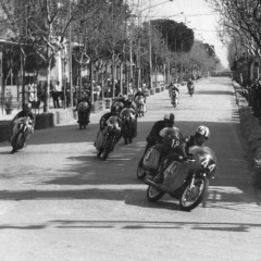 Il Trofeo Shell, Circuito Riviera di Cesenatico